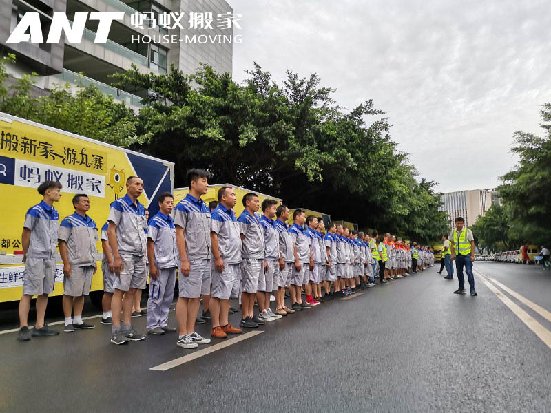 蚂蚁搬家深圳分部联系电话4000278181，深圳蚂蚁搬家电话，深圳搬家电话